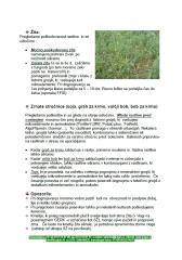 Ukrepi po poletnih neurjih na poljščinah 2